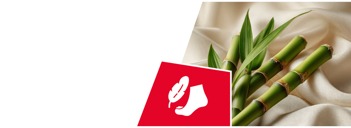 Fresh green bamboo stalks with their characteristic segmented nodes lie on flowing beige fabric alongside bamboo leaves. In the foreground is a red square card or tag featuring a white silhouette of a sock with a leaf design on it. The composition suggests natural, sustainable materials and eco-friendly textile production.
