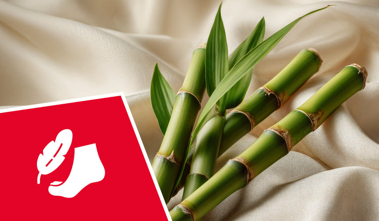 Fresh green bamboo stalks with their characteristic segmented nodes lie on flowing beige fabric alongside bamboo leaves. In the foreground is a red square card or tag featuring a white silhouette of a sock with a leaf design on it. The composition suggests natural, sustainable materials and eco-friendly textile production.