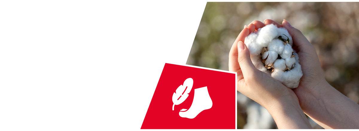 Cupped hands holding white cotton bolls with natural fibers in an outdoor setting. A red icon shows a white sock with a leaf symbol, indicating natural fiber footwear.