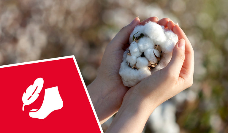 Cupped hands holding white cotton bolls with natural fibers in an outdoor setting. A red icon shows a white sock with a leaf symbol, indicating natural fiber footwear.