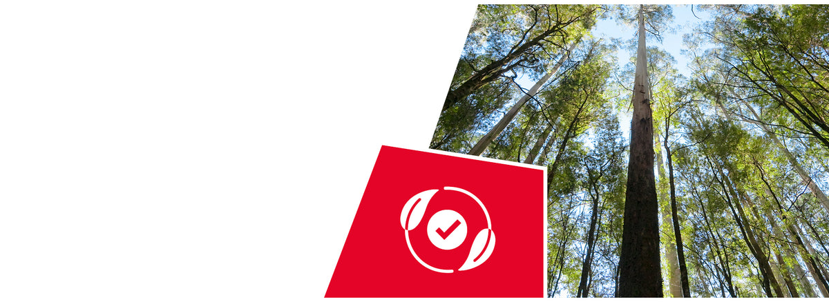 A low-angle shot captures a dense forest of towering eucalyptus trees, their pale trunks reaching high towards a bright blue sky partially obscured by their green canopies. In the foreground, a red triangular overlay with a white icon featuring a checkmark inside a circle with two leaves extends from the bottom left.